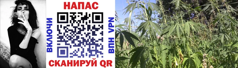Наркота Пыталово Бошки Шишки  МЕФ  Амфетамин  ГАШИШ  Alpha-PVP 