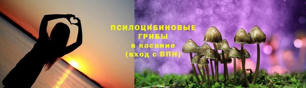 бутират Армянск
