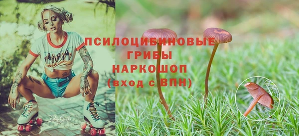бутират Армянск