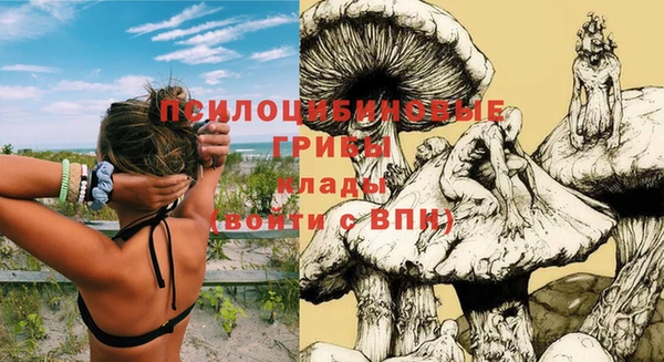 гашишное масло Аркадак