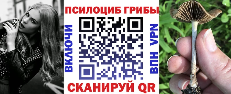 Галлюциногенные грибы мицелий  как найти наркотики  KRAKEN ссылки  Пыталово 